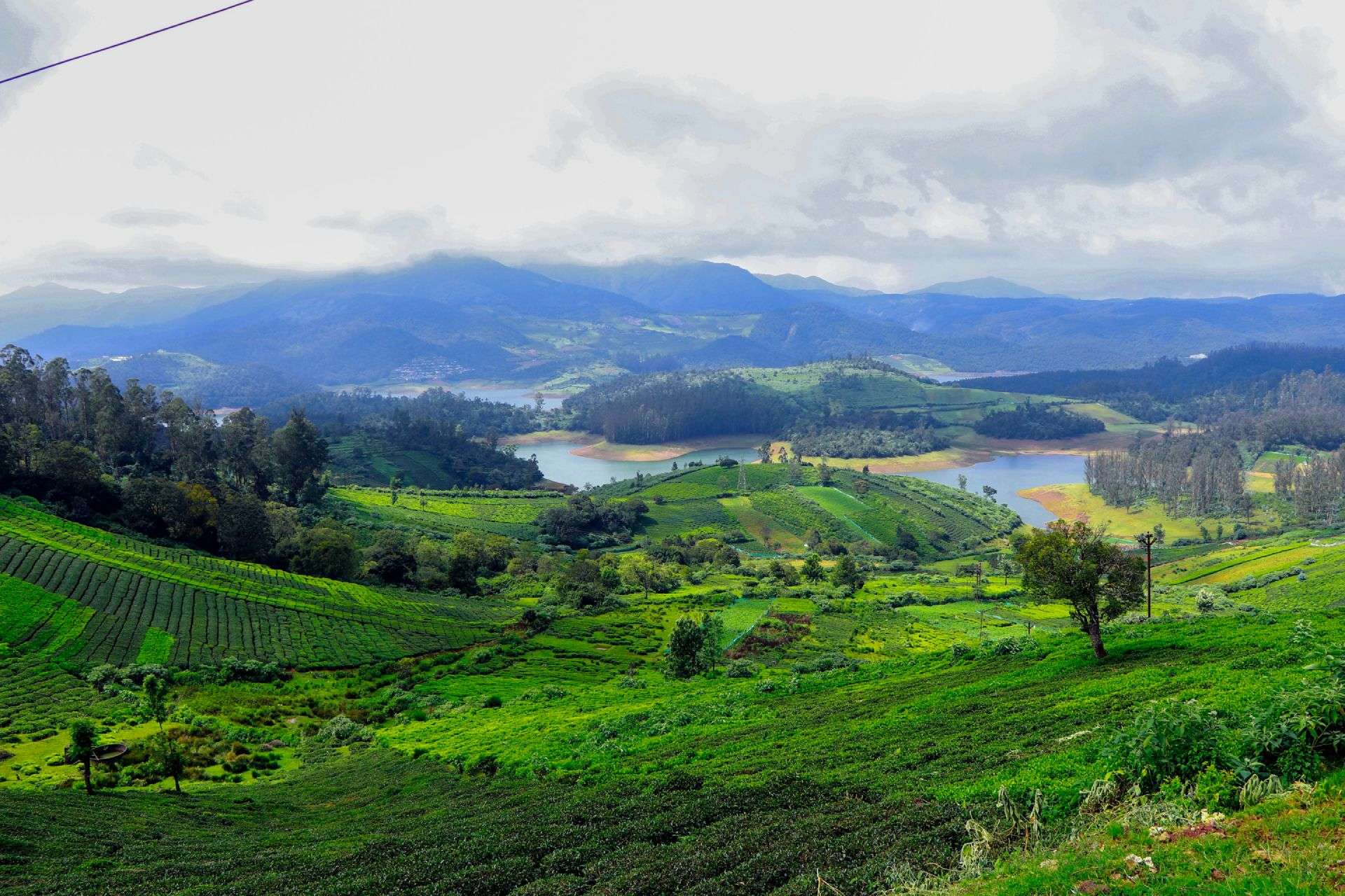Affordable holiday homes in Ooty